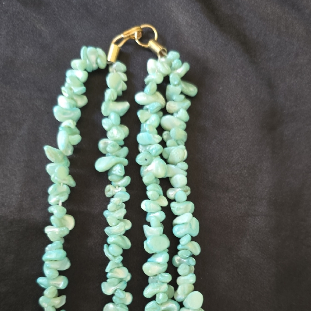 Chic Turquoise Shell Necklace